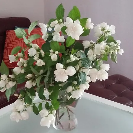 Hostelino Hostel Sopot